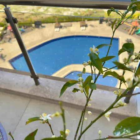 アパート Lavender Homes Iskele - Cosy With Pool ファマグスタ